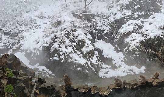 Snow Monkey Onsen and Yokoyu river
Photographer;&nbsp;Adrian
2024-03-06&nbsp;12.48.30;&nbsp;Metadata time: '2024 Mar 06 12:48'
Original size:&nbsp;15,244 x 9,047; 14,750 kB;&nbsp;stitch
Filename: 2024-03-06 12.48.30 S20+ Adrian - Snow Monkey Onsen and Yokoyu river_stitch.jpg