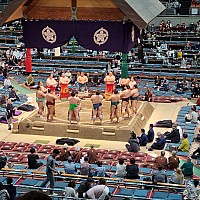 Kuromon market, Ōsaka Castle, Sumo Wrestling and Edion Arean\, Dōtonburi
Edion Arena ring ceremony
Photo: Jim
2024-03-15 14.19.24; '2024 Mar 15 14:19'
Original size: 2,992 x 2,992; 3,155 kB
2024-03-15 14.19.24 S21FE+ Jim - Edion Arena ring ceremony.jpeg