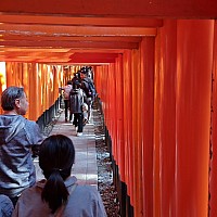 Shinkansen Ōsaka, Tōkyō, to Narita
Inside the Senbon Torii path
Photo: Jim
2024-03-16 15.43.53; '2024 Mar 16 15:43'
Original size: 2,992 x 2,992; 2,251 kB
2024-03-16 15.43.53 S21FE+ Jim - inside the Senbon Torii path.jpeg