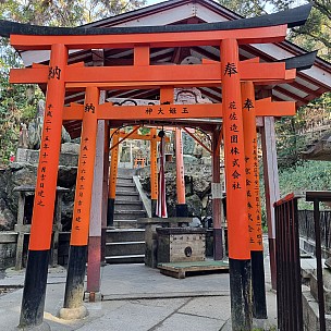 Torii gates on the Senbon Torii path
Photo: Jim
2024-03-16 15.51.14; '2024 Mar 16 15:51'
Original size: 2,992 x 2,992; 3,261 kB
2024-03-16 15.51.14 S21FE+ Jim - Torii gates on the Senbon Torii path.jpeg