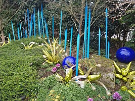 Chihuly Blue Grass Reeds
Photographer;&nbsp;Nick
2025-03-02&nbsp;13.46.13;&nbsp;Metadata time: '2025 Mar 02 13:46'
Original size:&nbsp;4,608 x 3,456; 10,016 kB
Filename: 2025-03-02 13.46.13 Nick - Chihuly Blue Grass Reeds.jpeg