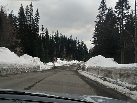 Driving back from Alpental
Photographer;&nbsp;Nick
2025-03-06&nbsp;16.11.36;&nbsp;Metadata time: '2025 Mar 06 16:11'
Original size:&nbsp;3,650 x 2,738; 2,467 kB;&nbsp;cr
Filename: 2025-03-06 16.11.36 Nick - driving back from Alpental_cr.jpg