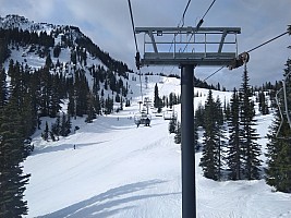 View up Skyline Express
Photographer;&nbsp;Nick
2025-03-09&nbsp;10.09.49;&nbsp;Metadata time: '2025 Mar 09 10:09'
Original size:&nbsp;4,608 x 3,456; 7,890 kB
Filename: 2025-03-09 10.09.49 IMG Nick - view up Skyline Express.jpeg