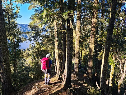 Brian on the track in the moring sun
Photographer;&nbsp;Simon
2025-05-06&nbsp;09.39.11;&nbsp;Metadata time: '2025 May 06 09:39'
Original size:&nbsp;9,248 x 6,936; 27,887 kB
Filename: 2025-05-06 09.39.11 S20+ Simon - Brian on the track in the moring sun.jpeg
