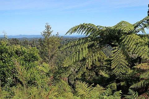 View over the Waitōtara
Photographer;&nbsp;Brian
2025-05-05&nbsp;12.36.35;&nbsp;Metadata time: '2025 May 05 12:36'
Original size:&nbsp;5,472 x 3,648; 11,974 kB
Filename: 2025-05-05 12.36.35 IMG_1491 Brian - view over the Waitōtara.jpeg