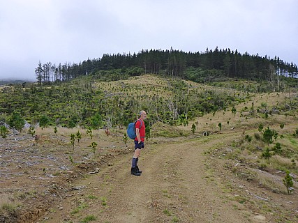 Brian on forestry road
Photographer;&nbsp;Simon
2018-03-31&nbsp;11.18.01;&nbsp;Metadata time: '2018 Mar 31 11:18'
Original size:&nbsp;4,608 x 3,456; 6,686 kB
Filename: 2018-03-31 11.18.01 P1020277 Simon - Brian on forestry road.jpeg
