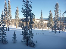 2014-01-28 07.53.37 P1000208 Simon - fresh snow view from Condo back window.jpeg: 4000x3000, 6715k (2014 Jan 29 03:53)