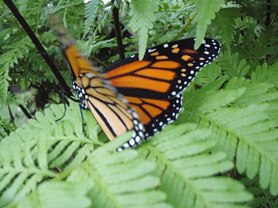 Siân
2011-02-24&nbsp;19.46.25;&nbsp;Metadata time: '2011 Feb 24 19:46'
Original size:&nbsp;3,072 x 2,304; 2,818 kB
Filename: 2011-02-24 19.46.25 P2240006 Siân.jpeg