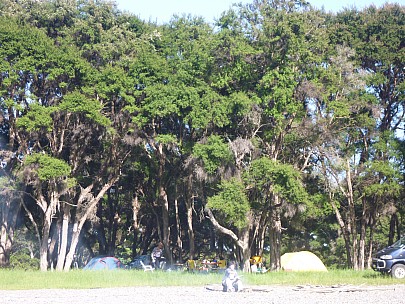 Morison Bush campsite
Photographer;&nbsp;Simon
2011-11-27&nbsp;07.46.05;&nbsp;Metadata time: '2011 Nov 27 07:46'
Original size:&nbsp;4,000 x 3,000; 6,858 kB
Filename: 2011-11-27 07.46.05 P1020983 Simon Morison Bush campsite.jpeg