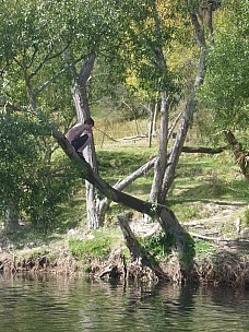 Kevin jumping
Photographer;&nbsp;Simon
2013-03-02&nbsp;15.00.37;&nbsp;Metadata time: '2013 Mar 02 15:00'
Original size:&nbsp;3,000 x 4,000; 5,573 kB
Filename: 2013-03-02 15.00.37 P1040730 Simon - Kevin jumping.jpeg