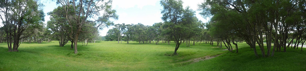 Camp Area
Photographer;&nbsp;Simon
2014-11-29&nbsp;11.06.00;&nbsp;Metadata time: '2014 Nov 29 11:06'
Original size:&nbsp;11,949 x 2,800; 6,017 kB;&nbsp;stitch
Filename: 2014-11-29 11.06.00 Panorama Simon - camp area_stitch.jpg