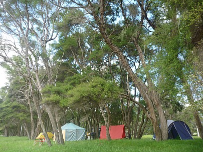 Tents
Photographer;&nbsp;Simon
2014-11-29&nbsp;11.10.19;&nbsp;Metadata time: '2014 Nov 29 11:10'
Original size:&nbsp;4,000 x 3,000; 6,967 kB
Filename: 2014-11-29 11.10.19 P1000921 Simon - tents.jpeg