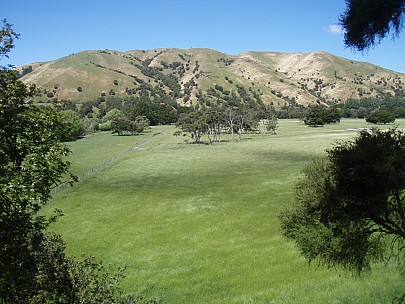 B 297716 Siân - 
2014-11-29&nbsp;14.08.22;&nbsp;Metadata time: '2014 Nov 29 14:08'
Original size:&nbsp;3,072 x 2,304; 3,277 kB
Filename: 2014-11-29 14.08.22 PB297716 Siân - .jpeg