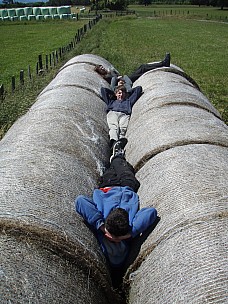 B 297726 Siân - 
2014-11-29&nbsp;14.46.30;&nbsp;Metadata time: '2014 Nov 29 14:46'
Original size:&nbsp;2,304 x 3,072; 3,090 kB
Filename: 2014-11-29 14.46.30 PB297726 Siân - .jpeg