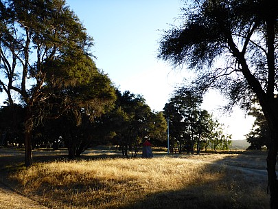 Back of the Morison Bush Campsite
Photographer;&nbsp;Simon
2016-03-05&nbsp;14.54.24;&nbsp;Metadata time: '2016 Mar 05 14:54'
Original size:&nbsp;4,608 x 3,456; 6,614 kB
Filename: 2016-03-05 14.54.24 P1000872 Simon - Back of the Morison Bush Campsite.jpeg