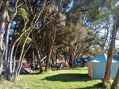 Morison Bush campsite
Photographer;&nbsp;Simon
2019-03-24&nbsp;09.09.14;&nbsp;Metadata time: '2019 Mar 24 09:09'
Original size:&nbsp;4,160 x 3,120; 8,856 kB
Filename: 2019-03-24 09.09.14 S20+ Simon - Morison Bush campsite.jpeg