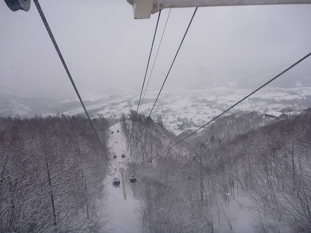 2015-02-09 13.10.41 P1010367 Simon -from Gondola looking down through trees.jpeg: 4000x3000, 5354k (2015 Aug 13 22:54)