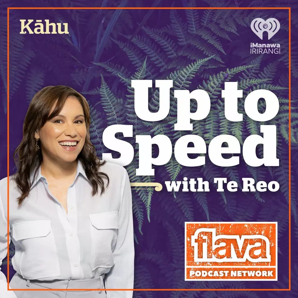 Up to Speed kōnae ipurangi