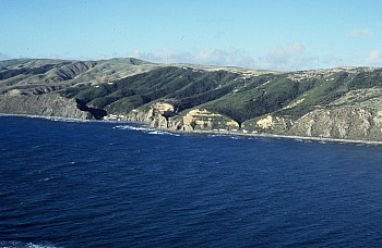 Coast north of Makara Estuary, Owhariu Bay, photograph by Barbara Mitcalfe
14750001
; '2024 Nov 21 22:48'
Original size: 1,570 x 1,024; 1,029 kB
14750001.jpg