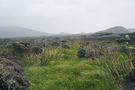 059_059.JPG: 1544x1024, 343k (2006 Dec 20 22:56)