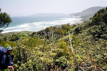 069_009.JPG: 1544x1024, 456k (2006 Dec 20 22:51)