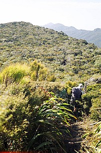 073_013.JPG: 1024x1544, 393k (2007 Jan 02 11:10)