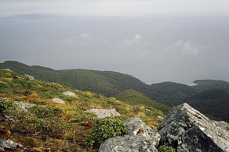 089_029.JPG: 1544x1024, 349k (2006 Dec 20 22:53)