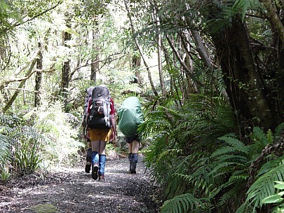 dsc00417.jpg: 2048x1536, 806k (2006 Dec 22 13:29)