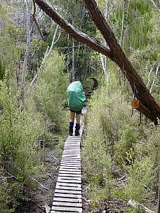 dsc00418.jpg: 1536x2048, 650k (2006 Dec 23 14:51)