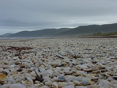 dsc00428.jpg: 2048x1536, 813k (2006 Dec 22 13:38)