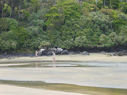 dsc00459.jpg: 2048x1536, 779k (2006 Dec 22 13:49)