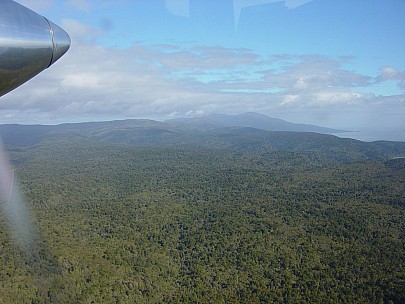 dsc00477.jpg: 2048x1536, 815k (2006 Dec 22 13:54)