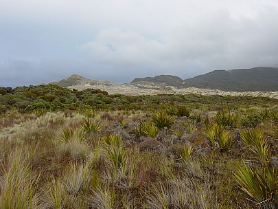 day03-010-dsc00421-jrs.jpeg: 2048x1536, 809k (2006 Dec 22 13:57)