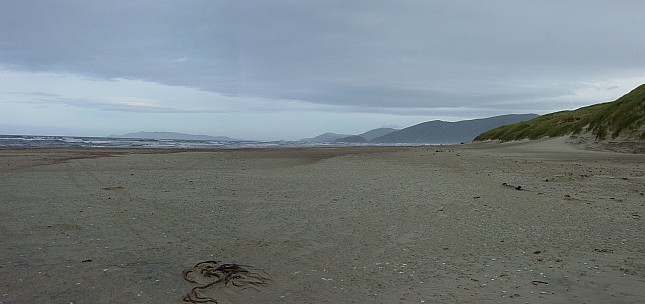 day03-050-dsc00425-426-jrs.jpeg: 3219x1517, 866k (2007 Jan 04 19:59)