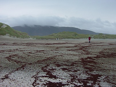 day03-060-dsc00427-jrs.jpeg: 2048x1536, 803k (2006 Dec 22 13:37)