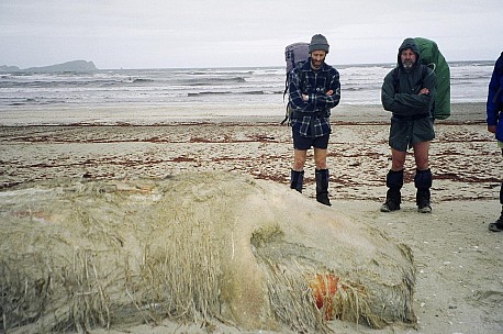 day03-085-065_005-bew.jpeg: 1544x1024, 339k (2006 Dec 20 22:51)