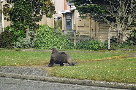 Day09Bew

Original size:&nbsp;1,544 x 1,024; 457 kB
Filename: day09-010-096_036-bew.jpeg