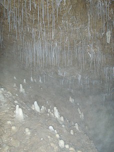 Sian
2008-07-13&nbsp;12.06.36;&nbsp;Metadata time: '2008 Jul 13 12:06'
Original size:&nbsp;2,304 x 3,072; 2,994 kB
Filename: 2008-07-13 12.06.36 P7131430 Sian.jpeg