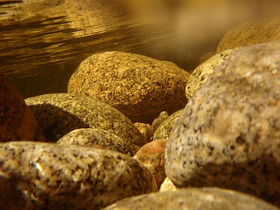 2011-01-26 17.53.24 P1260200 Adrian.jpeg: 3072x2304, 2610k (2011 Jan 26 16:53)