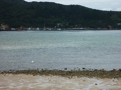 Across to Tryphena Wharf
Photographer;&nbsp;Simon
2012-12-28&nbsp;12.05.40;&nbsp;Metadata time: '2012 Dec 28 12:05'
Original size:&nbsp;4,000 x 3,000; 6,074 kB
Filename: 2012-12-28 12.05.40 P1040450 Simon - across to Tryphena Wharf.jpeg