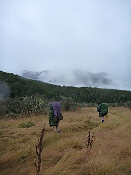 Hope River flats above gorge
Photographer;&nbsp;Philip
2013-04-21&nbsp;11.39.44;&nbsp;Metadata time: '2013 Apr 21 11:39'
Original size:&nbsp;3,240 x 4,320; 4,723 kB
Filename: 2013-04-21 11.39.44 P1020035 Philip - Hope River flats above gorge.jpeg