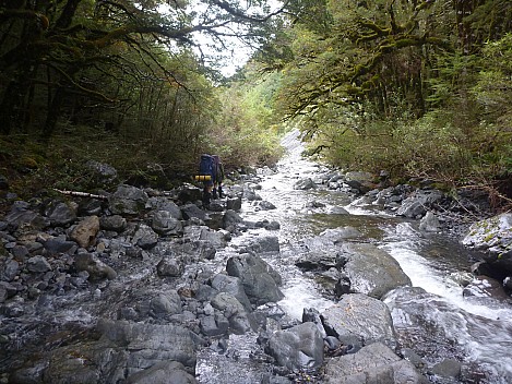 At the Tutaekuri River
Photographer;&nbsp;Simon
2013-04-22&nbsp;12.51.53;&nbsp;Metadata time: '2013 Apr 22 12:51'
Original size:&nbsp;4,000 x 3,000; 6,953 kB
Filename: 2013-04-22 12.51.53 P1050044 Simon - At the Tutaekuri River.jpeg
