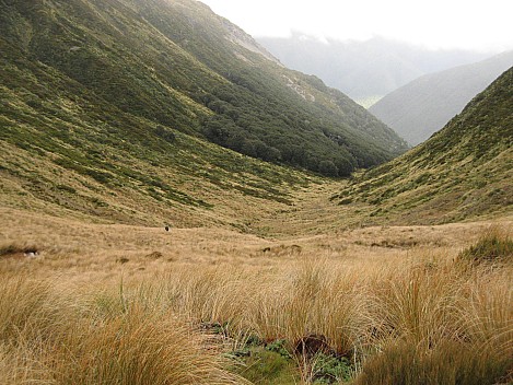 Looking down Devilskin stream
Photographer;&nbsp;Brian
2013-04-25&nbsp;14.24.53;&nbsp;Metadata time: '2013 Apr 25 14:24'
Original size:&nbsp;3,072 x 2,304; 1,246 kB
Filename: 2013-04-25 14.24.53 IMG_2905 Brian - looking down Devilskin stream.jpeg