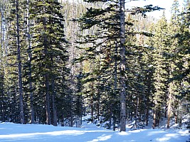 Winter Park
Photographer;&nbsp;Jim
2014-01-23&nbsp;12.05.12;&nbsp;Metadata time: '2014 Jan 23 12:05'
Original size:&nbsp;4,320 x 3,240; 4,929 kB
Filename: 2014-01-23 12.05.12 P1000459 Jim - Winter Park.jpeg