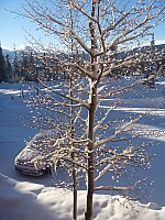 Dillon view from Condo
Photographer;&nbsp;Jim
2014-01-28&nbsp;08.01.22;&nbsp;Metadata time: '2014 Jan 28 08:01'
Original size:&nbsp;3,240 x 4,320; 5,053 kB
Filename: 2014-01-28 08.01.22 P1000491 Jim - Dillon view from Condo.jpeg