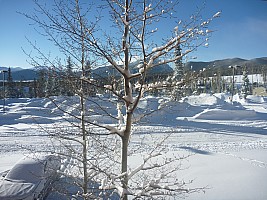 View from Condo front balcony
Photographer;&nbsp;Simon
2014-01-28&nbsp;08.30.23;&nbsp;Metadata time: '2014 Jan 28 08:30'
Original size:&nbsp;4,000 x 3,000; 6,954 kB
Filename: 2014-01-28 08.30.23 P1000209 Simon - view from Condo front balcony.jpeg