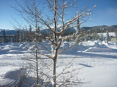 View from Condo front balcony
Photographer;&nbsp;Simon
2014-01-28&nbsp;08.30.23;&nbsp;Metadata time: '2014 Jan 28 08:30'
Original size:&nbsp;4,000 x 3,000; 6,954 kB
Filename: 2014-01-28 08.30.23 P1000209 Simon - view from Condo front balcony.jpeg