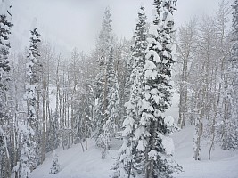 Snowing In The Trees
Photographer;&nbsp;Simon
2014-01-31&nbsp;13.42.44;&nbsp;Metadata time: '2014 Jan 31 13:42'
Original size:&nbsp;4,000 x 3,000; 6,141 kB
Filename: 2014-01-31 13.42.44 P1000265 Simon - snowing in the trees.jpeg