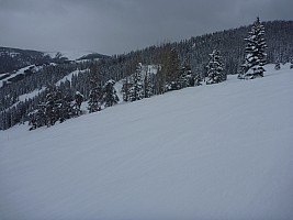 Larskpur and Grouse Mountain behind
Photographer;&nbsp;Simon
2014-02-06&nbsp;14.12.56;&nbsp;Metadata time: '2014 Feb 06 14:12'
Original size:&nbsp;4,000 x 3,000; 4,888 kB
Filename: 2014-02-06 14.12.56 P1000403 Simon - Larskpur and Grouse Mountain behind.jpeg