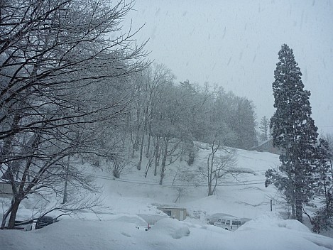 Snowy view from Jim's window
Photographer;&nbsp;Simon
2015-02-08&nbsp;17.03.35;&nbsp;Metadata time: '2015 Feb 08 17:03'
Original size:&nbsp;4,000 x 3,000; 5,583 kB
Filename: 2015-02-08 17.03.35 P1010346 Simon - snowy view from Jim's window.jpeg